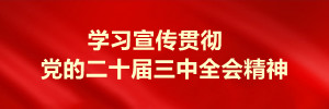 学习宣传贯彻党的二十届三中全会精神